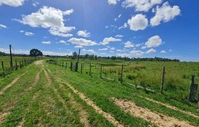 Imagem 7: Fazenda com 53 alqueires na Região dos Lagos, frente para o asfalto