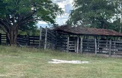 Imagem 3: Fazenda 27 alqueire. 27m² de Área