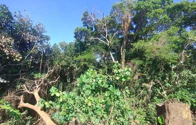 Imagem 11: 0 - Terreno - VILA VALQUEIRE