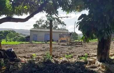 Imagem 10: A M IMOVEIS VENDE EXELENTE FAZENDA COM 180HECTARES EM PARACATU MG