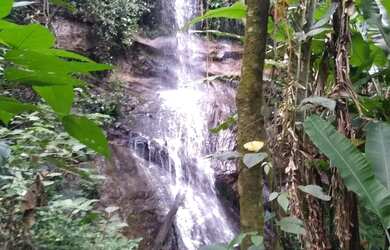 Imagem: A fazenda possui 1000m² de Área e está localizado em Alfredo