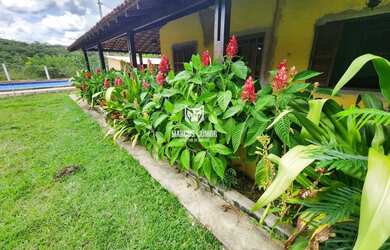Imagem 6: EXCELENTE FAZENDA DE PECUÁROA NO NORTE DE MINAS PROXIMO A MONTES CLAROS