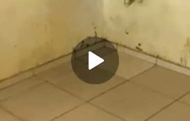 Imagem: A casa possui 2 Dormitórios, 1 Banheiro, 1 Vaga na garagem