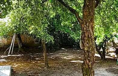 Imagem 11: Oportunidade única Sabrado amplo com piscina e quintal em Manilha - Itaboraí...