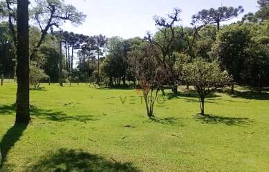 Imagem: O terreno possui 3.000m² de Área e está localizado em Canela