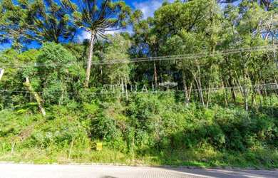 Imagem 6: TERRENO NA VILA SUZANA. 1.122m² de Área