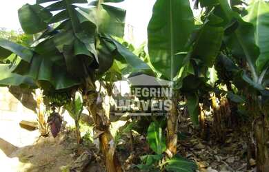 Imagem 5: Terreno à venda, 300 m² por R$ 275.000,00 - Jardim Martinelli Sousas...