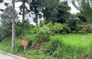 Imagem 2: Excelente terreno próximo ao centro