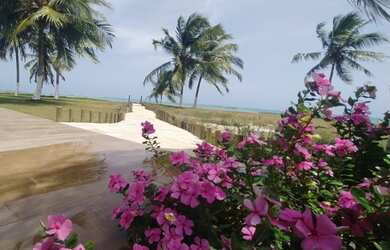 Imagem 7: Porangatu Lote pronto para construir Milagres