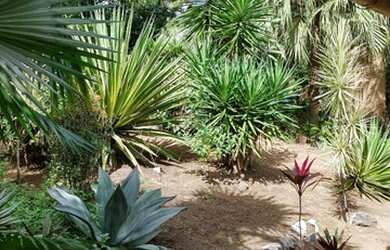 Imagem 8: Terreno em Localização Privilegiada na Av. Aleomar Baleeiro, Com 8.880...