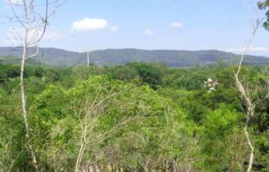 Imagem 13: Ótima área de 109 000 m² com escritura fica de frente pra geral de...
