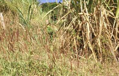 Imagem 5: Lote/Terreno a venda no bairro Esplanada em Santa Luzia -MG
