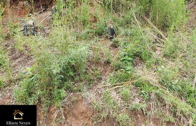 Imagem 6: Vendo Lotes no bairro Retiro de Paty em Paty do Alferes - RJ