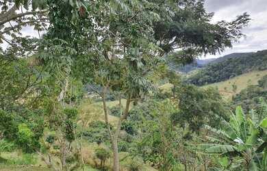 Imagem 12: Lote/Terreno para venda com 21106 m² - Fazenda Juriti - Petrópolis -...