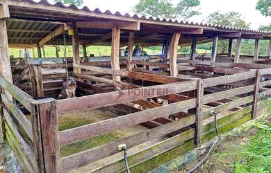 Imagem 14: Fazenda à venda, 1.936 hectares por R$ - Zona Rural - Jaraguá/GO