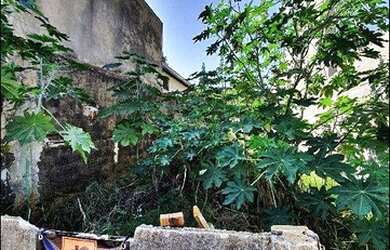 Imagem 3: Terreno à venda, 125 m² por R$ 120.000,00 - Jardim Belo Horizonte -...