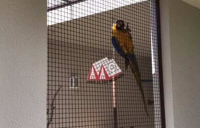 Imagem 6: Casa com 5 Suítes à venda, 960 m² por R$ 8.300.000 -Condomínio Fazenda...