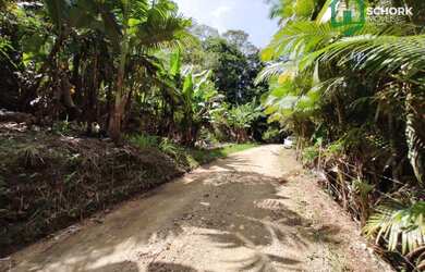 Imagem 3: Sítio à venda, 30142 m² por R$ 190.000,00 - Patrimônio - Massaranduba/SC