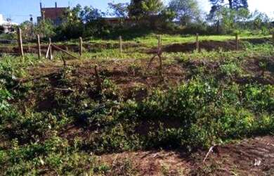 Imagem 5: Terreno à venda, 650 m² por R$ 170.000 - Jardim Casa Branca - Suzano/SP