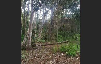 Imagem 8: Loteamento para Venda em Porto Seguro, Arraial D Ajuda