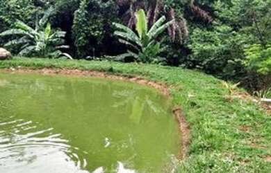 Imagem: A chácara possui 4000m² de Área e está localizado em Goianápolis