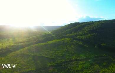 Imagem 7: Vendo Excelente Fazenda de 1.033 hectares na Região de Curvelo MG