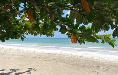 Imagem 8: Casa e localização maravilhosa em São Miguel dos Milagres