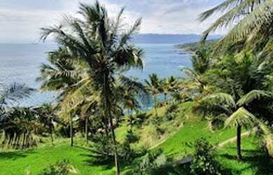 Imagem 3: Lote/Terreno para venda tem 18213 metros quadrados em Itapecerica - Ilhabela...