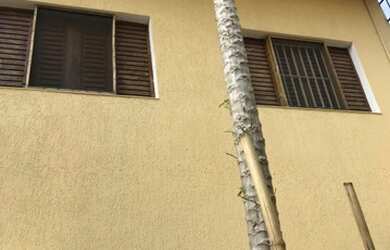 Imagem 14: Sobrado à venda, Jardim São Paulo Zona Norte , São Paulo, SP