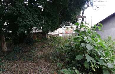 Imagem 6: Terreno, 780 m² - venda por R$ 2.200.000,00 ou aluguel por R$ 5.000,00/mês...