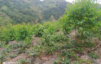 Imagem 10: *Vendo Sitio urgente em Timbui