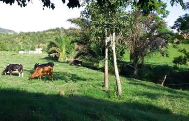 Imagem 11: RIO BONITO BELA FAZENDINHA NA VIA LAGOS Antes do pedágio