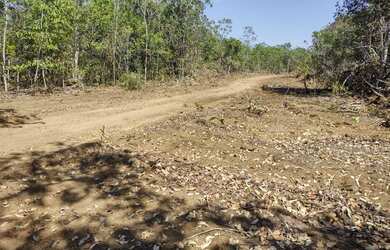 Imagem 1: Faz 115 Alq planta 310 Hec 2 Taiao lavouras ao lado