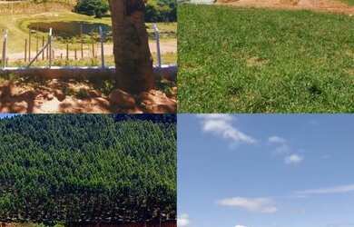 Imagem 11: Lote/Terreno para venda tem 600 metros quadrados em Centro - Atibaia -...