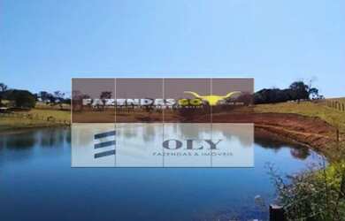 Imagem: A fazenda possui Piscina e está localizado em Vila William