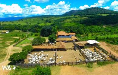 Imagem 10: Vendo Excelente Fazenda de 1.033 hectares na Região de Curvelo MG