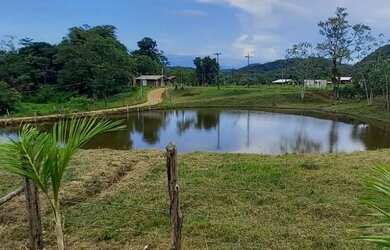 Imagem: A fazenda e está localizado em Antonina, PR à venda por R$300.000
