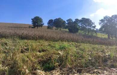 Imagem: O terreno possui 500m² de Área e está localizado em Jardim