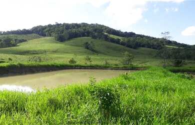 Imagem 5: Registro - Fazenda - Socal