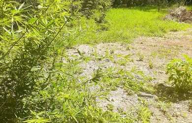 Imagem: O terreno possui 1000m² de Área e está localizado em Núcleo