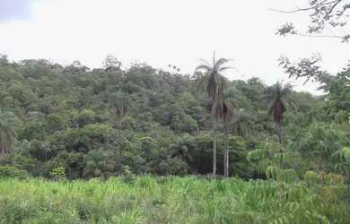 Imagem: A chácara e está localizado em Jaboticatubas, MG à venda