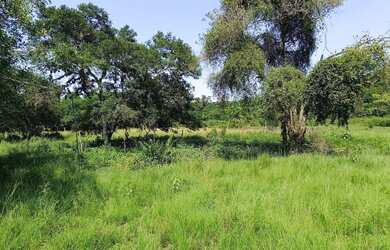 Imagem 14: Área de 75 mil m2 á venda na Ilha de Guaratiba - Rio de Janeiro - RJ