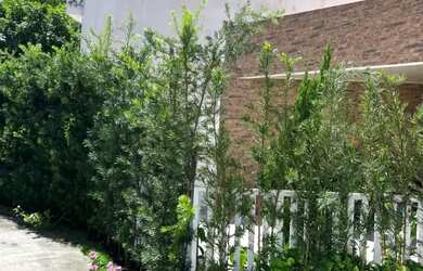 Imagem 3: Casa à venda no ORION RESIDENCE SERRARIA , SERRARIA, Maceió, AL