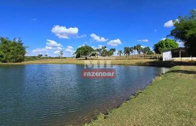 Imagem: A fazenda possui 500m² de Área e está localizado em Hidrolândia
