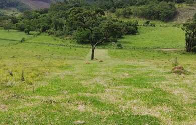 Imagem 6: Vendo terrenos e lotes. 1.000m² de Área