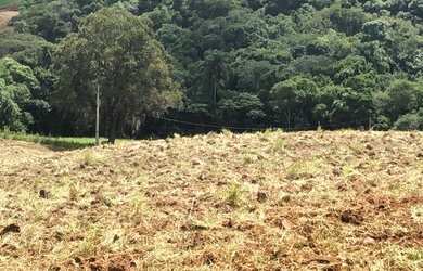 Imagem 4: Lote/Terreno mairiporã sp