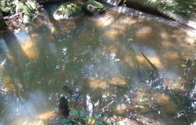 Imagem 1: Ótima área de 109 000 m² com escritura fica de frente pra geral de...