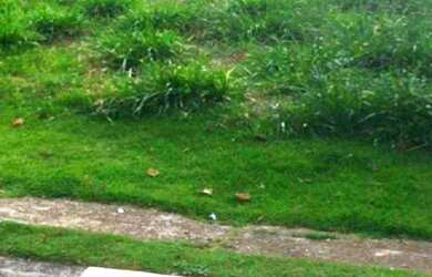 Imagem: O terreno possui 250m² de Área e está localizado em Moinho