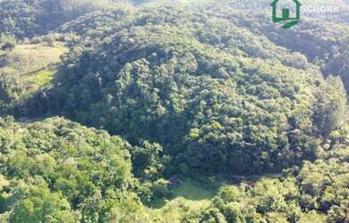 Imagem 12: Sítio à venda, 30142 m² por R$ 190.000,00 - Patrimônio - Massaranduba/SC