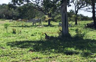 Imagem 2: Fazenda à venda, 1.936 hectares por R$ - Zona Rural - Jaraguá/GO